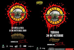 GUNS N' ROSES COMING TO MEXICO